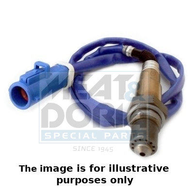 Oxygen Sensor